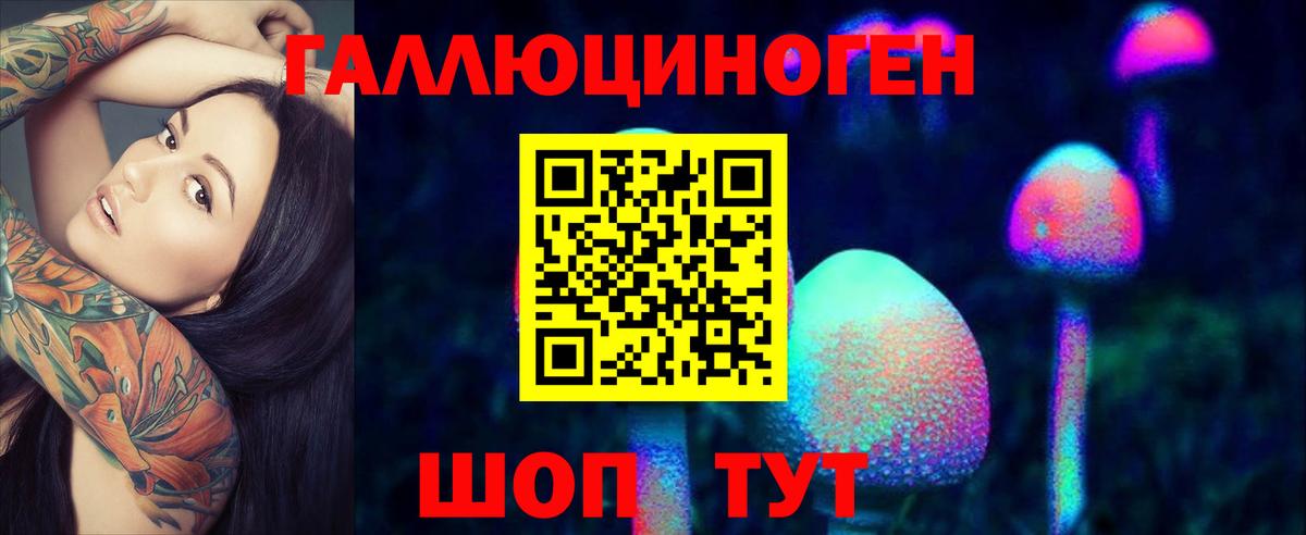Галлюциногенные грибы прущие грибы Россия